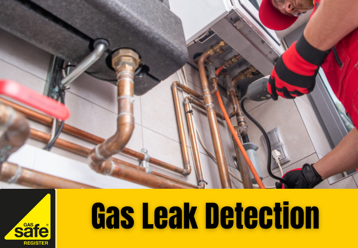 gas leak detection Rochester 